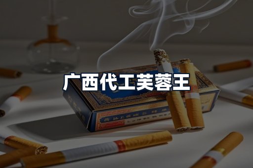 广西代工芙蓉王